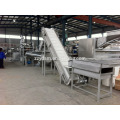 Complete cashew fruit juice making line